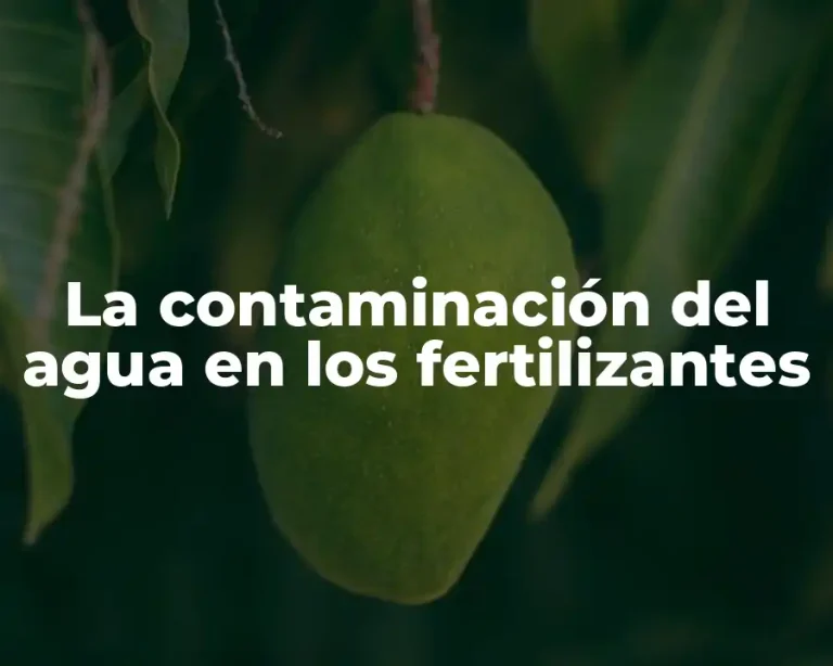 La contaminación del agua en los fertilizantes