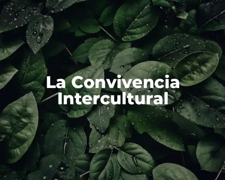 La Convivencia Intercultural