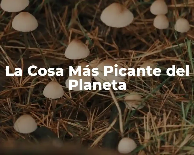 La Cosa Más Picante del Planeta