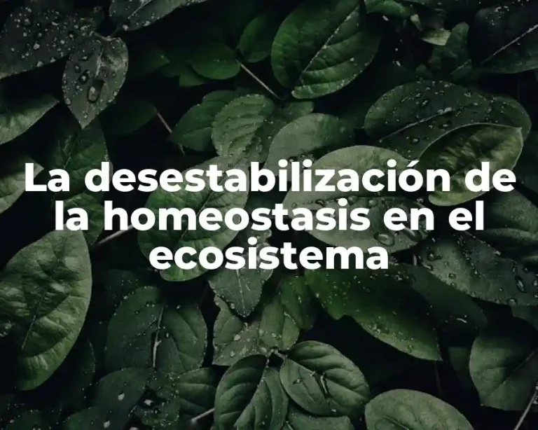 La desestabilización de la homeostasis en el ecosistema