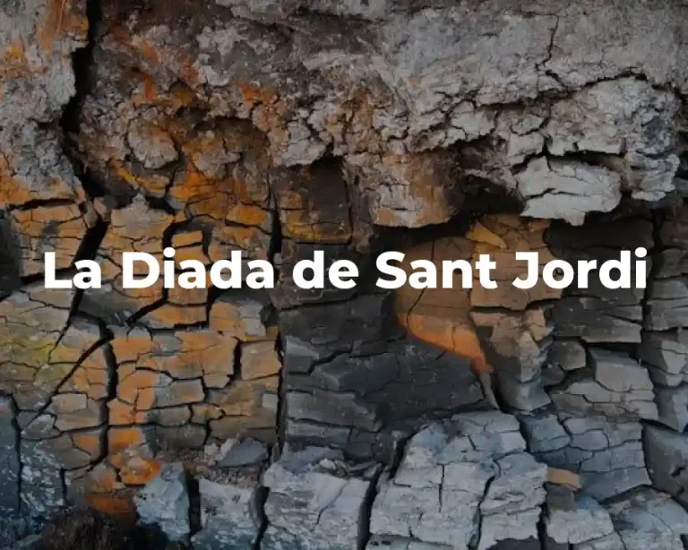 La Diada de Sant Jordi