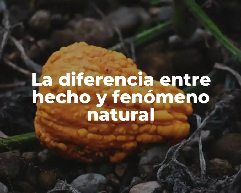 La diferencia entre hecho y fenómeno natural