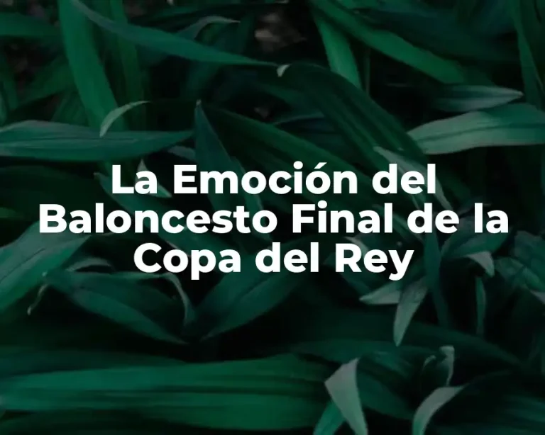 La Emoción del Baloncesto Final de la Copa del Rey