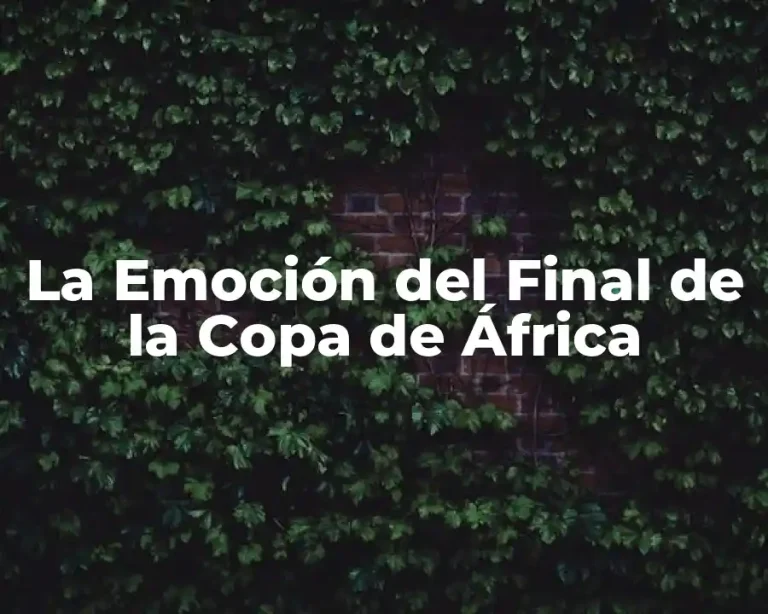 La Emoción del Final de la Copa de África