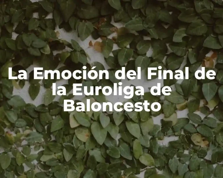 La Emoción del Final de la Euroliga de Baloncesto