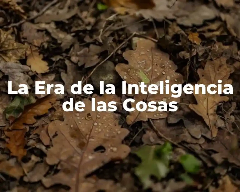 La Era de la Inteligencia de las Cosas