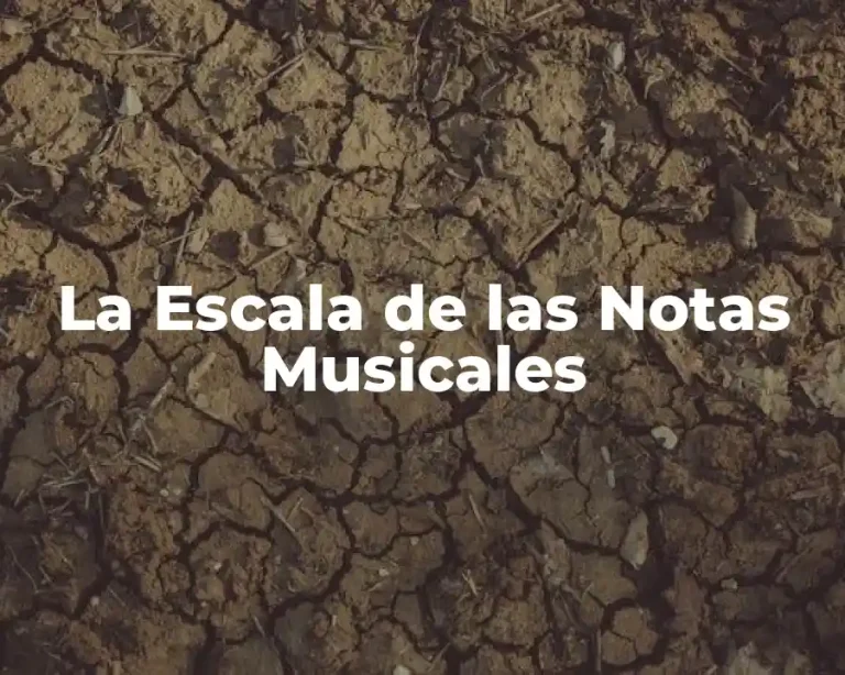 La Escala de las Notas Musicales