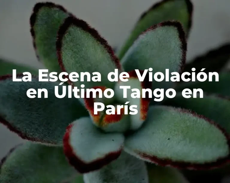 La Escena de Violación en Último Tango en París