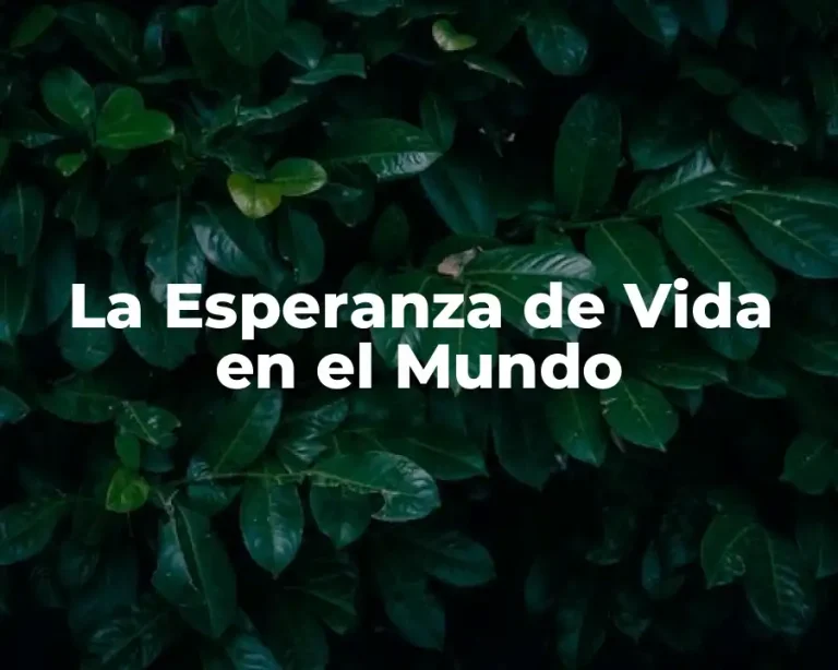 La Esperanza de Vida en el Mundo
