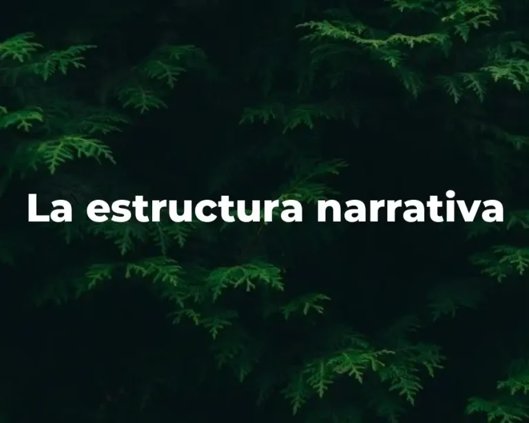 La estructura narrativa