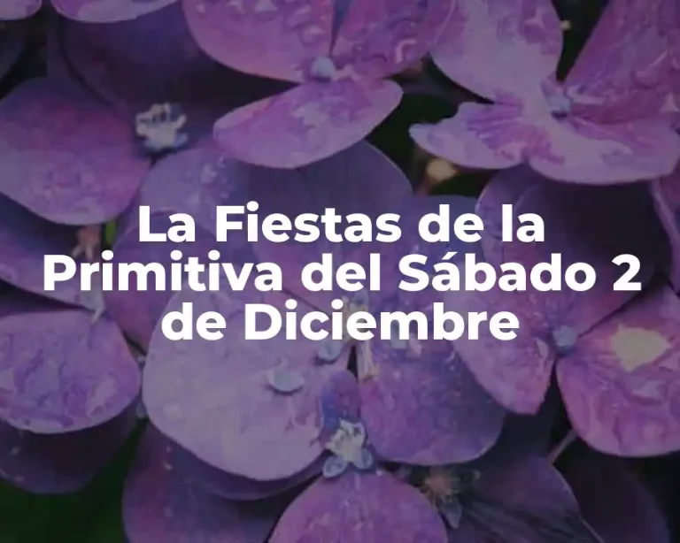 La Fiestas de la Primitiva del Sábado 2 de Diciembre