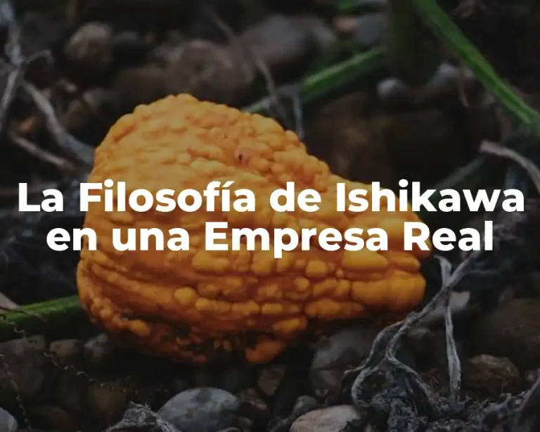 La Filosofía de Ishikawa en una Empresa Real