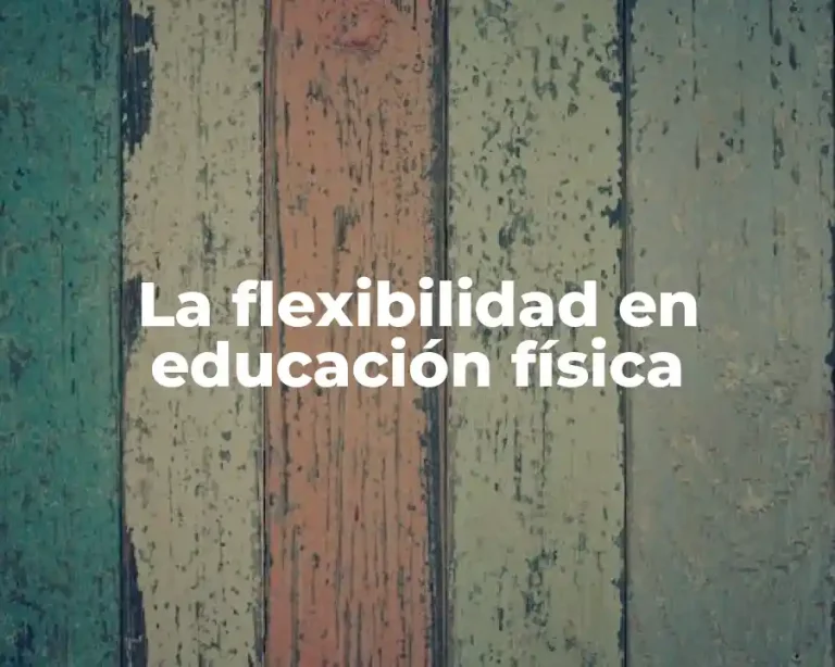 La flexibilidad en educación física