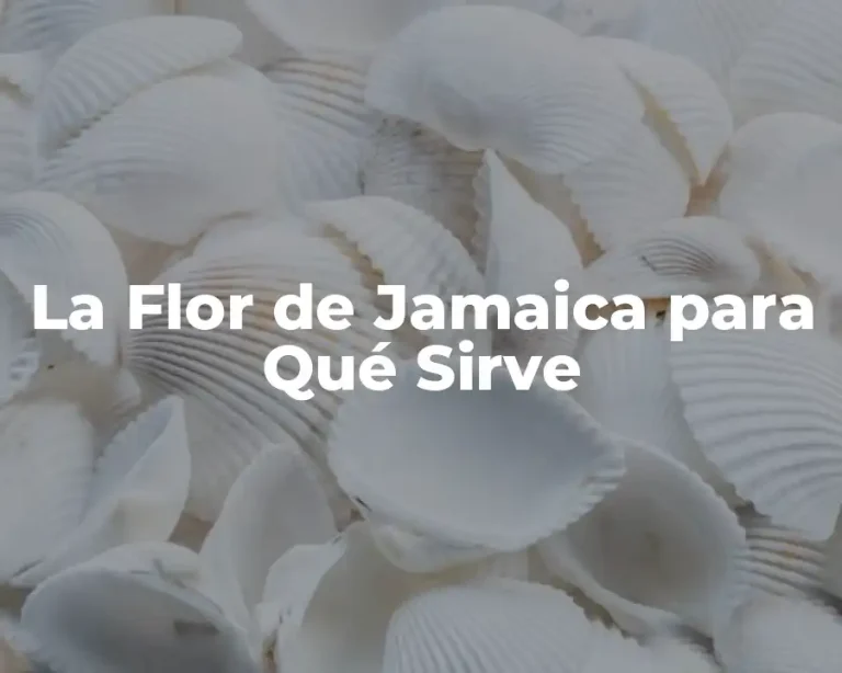 La Flor de Jamaica para Qué Sirve