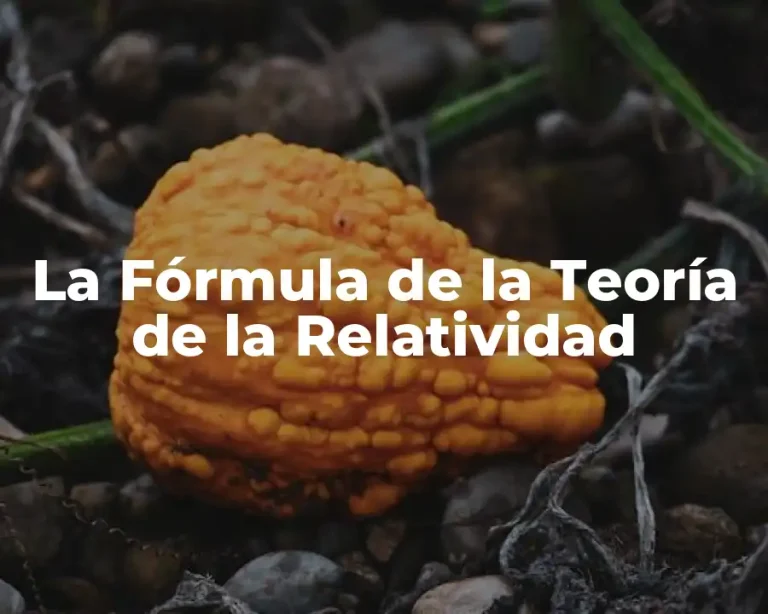 La Fórmula de la Teoría de la Relatividad