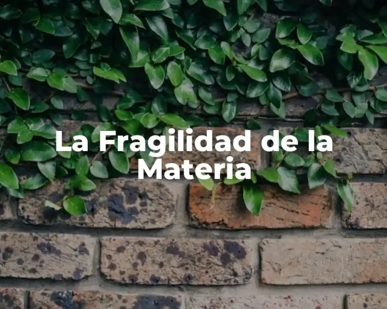 La Fragilidad de la Materia