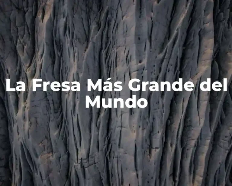 La Fresa Más Grande del Mundo