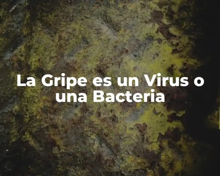 La Gripe es un Virus o una Bacteria