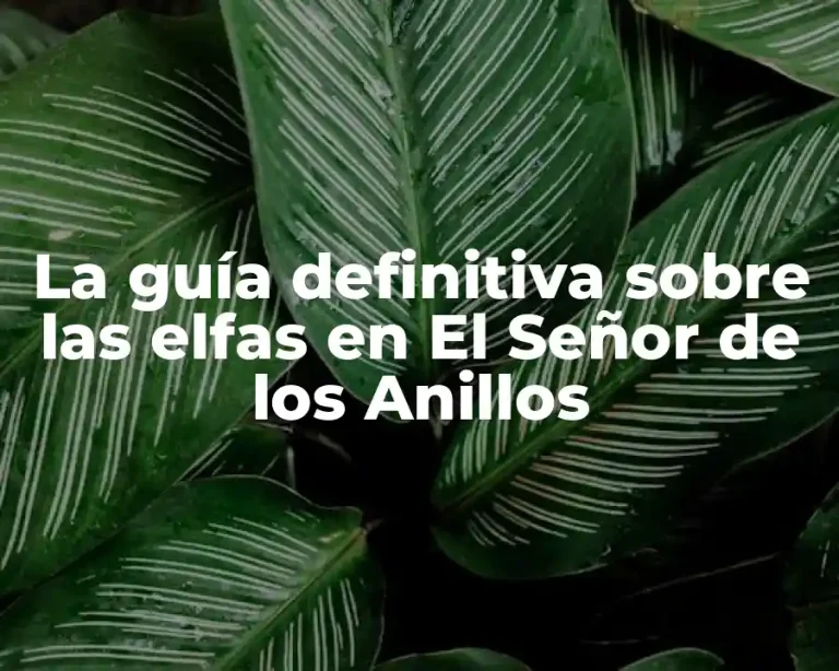 La guía definitiva sobre las elfas en El Señor de los Anillos