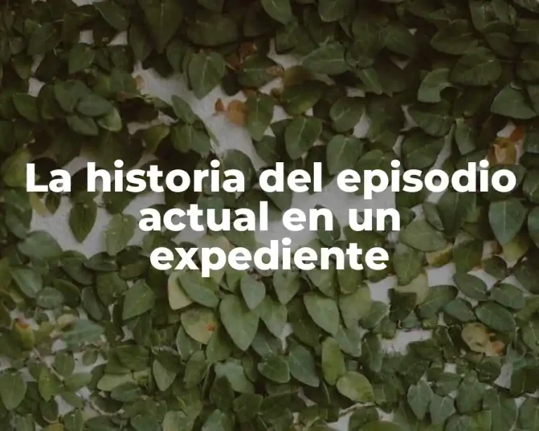 La historia del episodio actual en un expediente