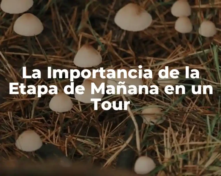 La Importancia de la Etapa de Mañana en un Tour