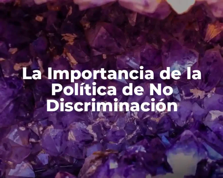 La Importancia de la Política de No Discriminación