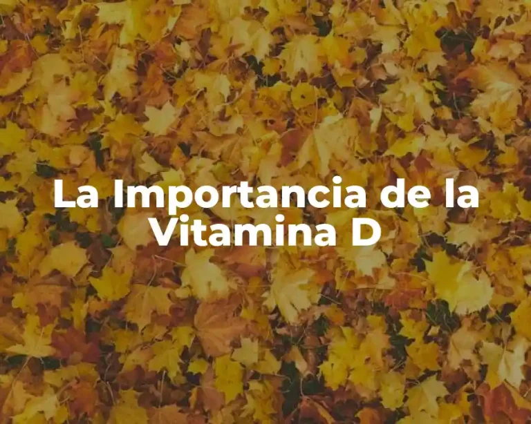 La Importancia de la Vitamina D