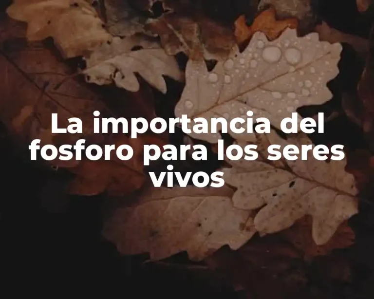 La importancia del fosforo para los seres vivos