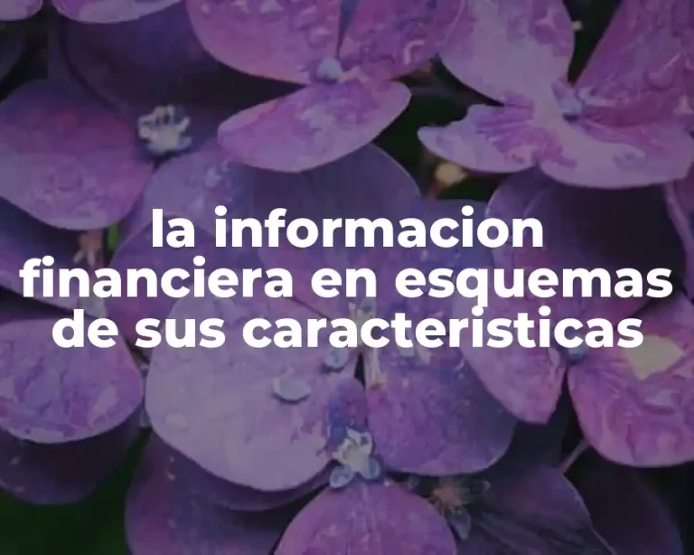 la informacion financiera en esquemas de sus caracteristicas