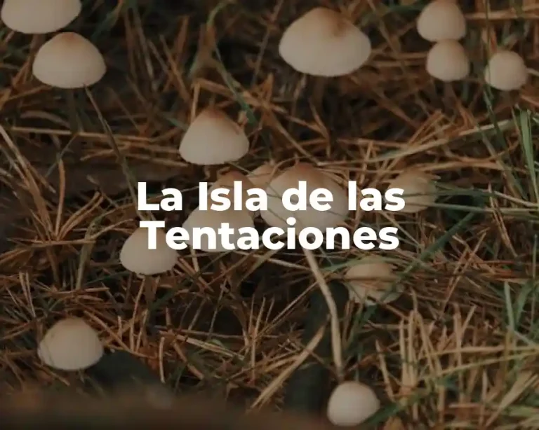 La Isla de las Tentaciones