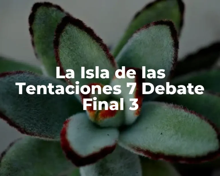 La Isla de las Tentaciones 7 Debate Final 3