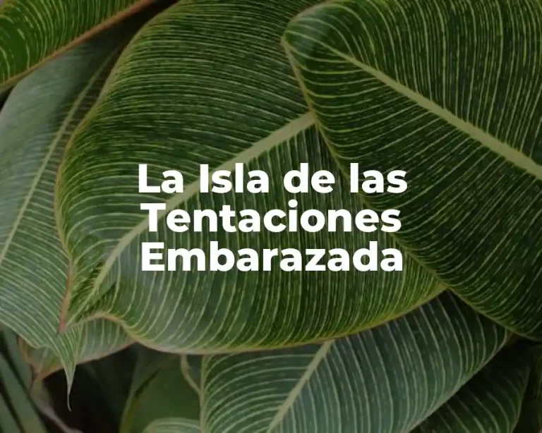La Isla de las Tentaciones Embarazada