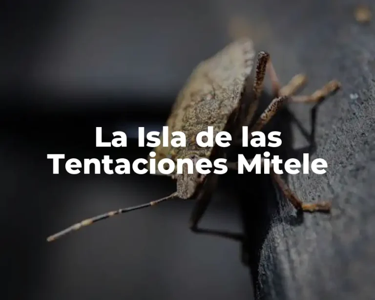 La Isla de las Tentaciones Mitele