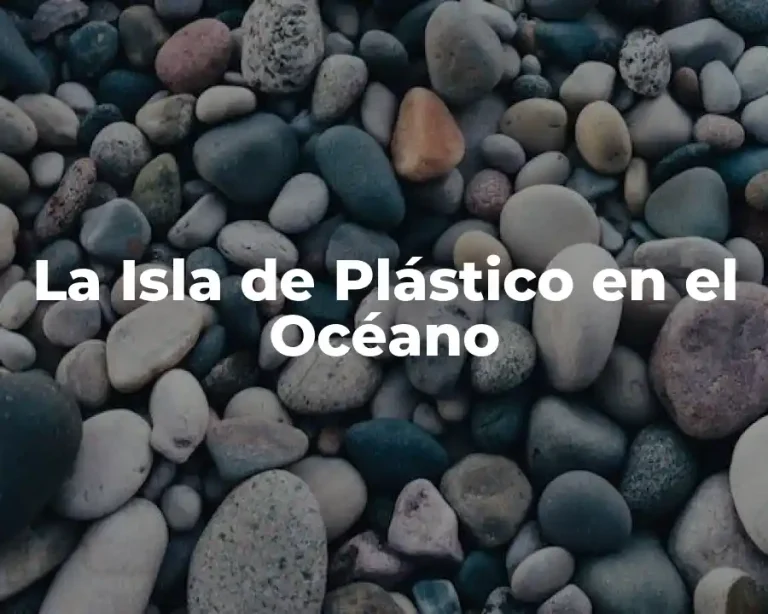 La Isla de Plástico en el Océano