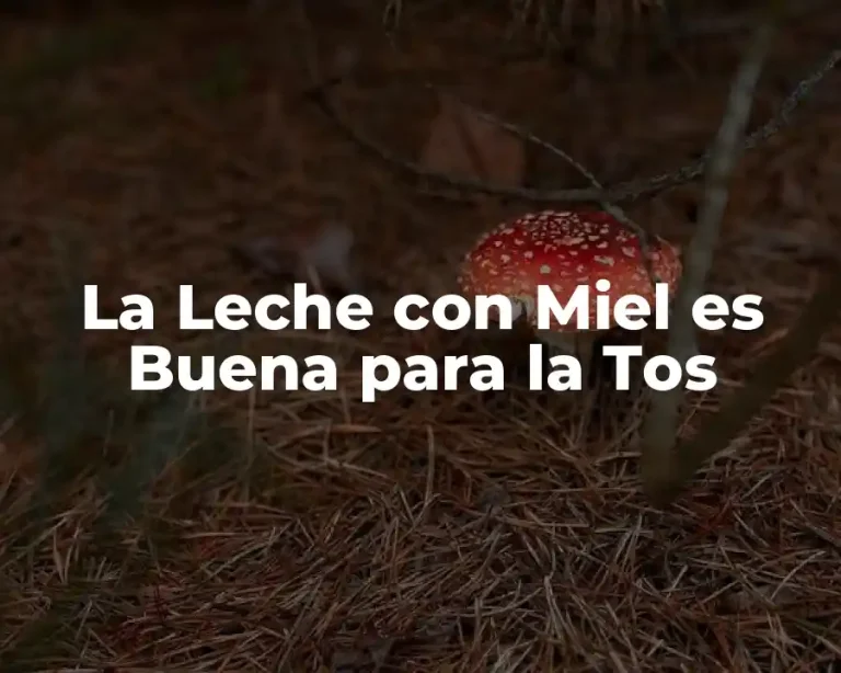 La Leche con Miel es Buena para la Tos