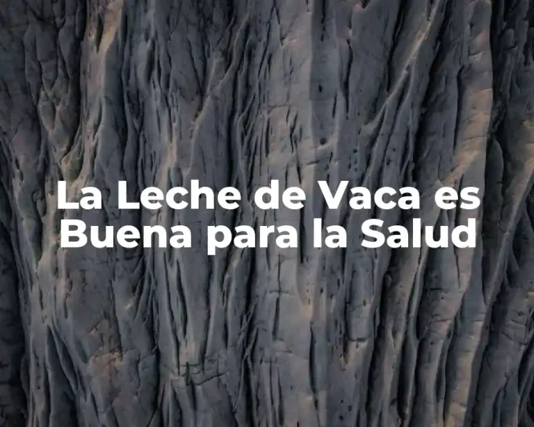 La Leche de Vaca es Buena para la Salud