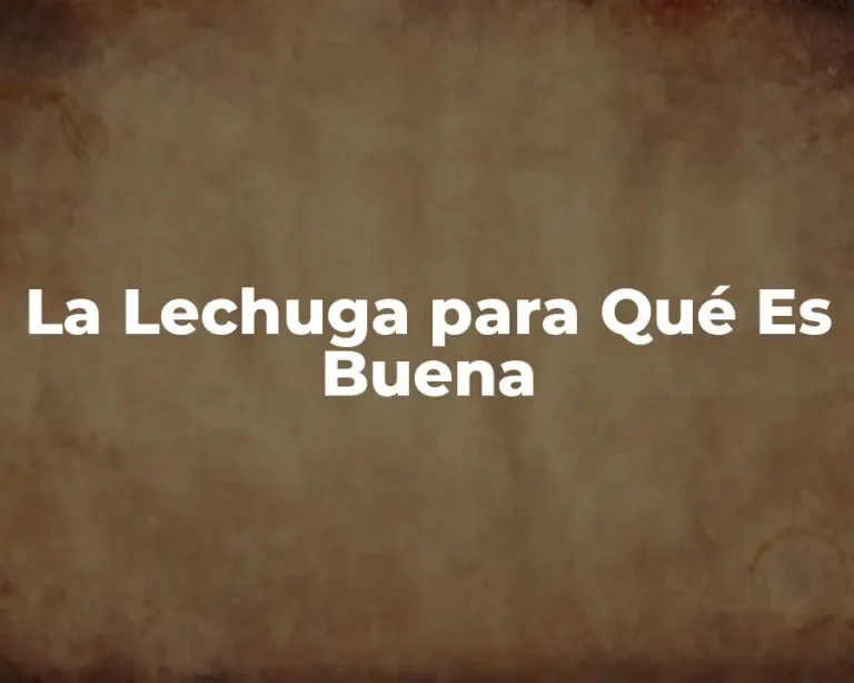 La Lechuga para Qué Es Buena