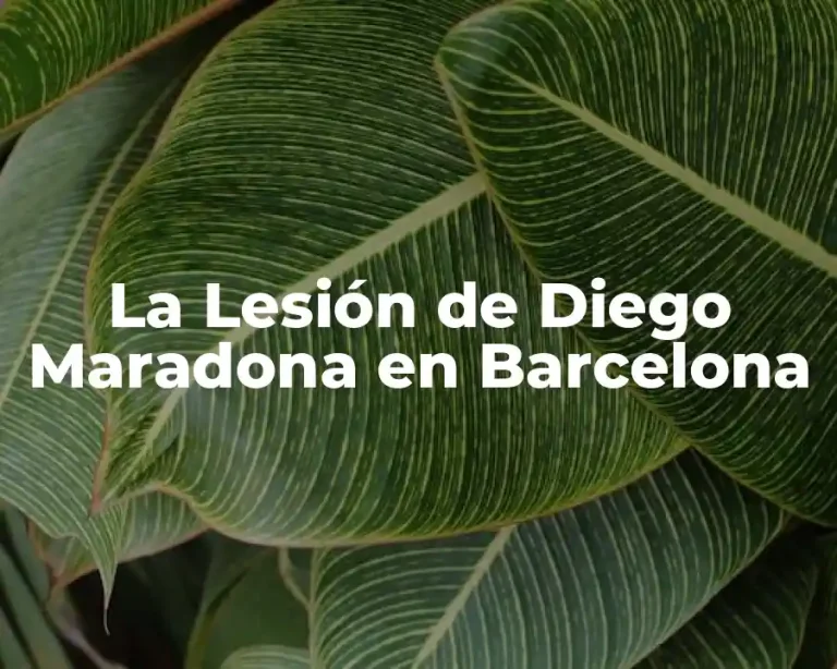 La Lesión de Diego Maradona en Barcelona