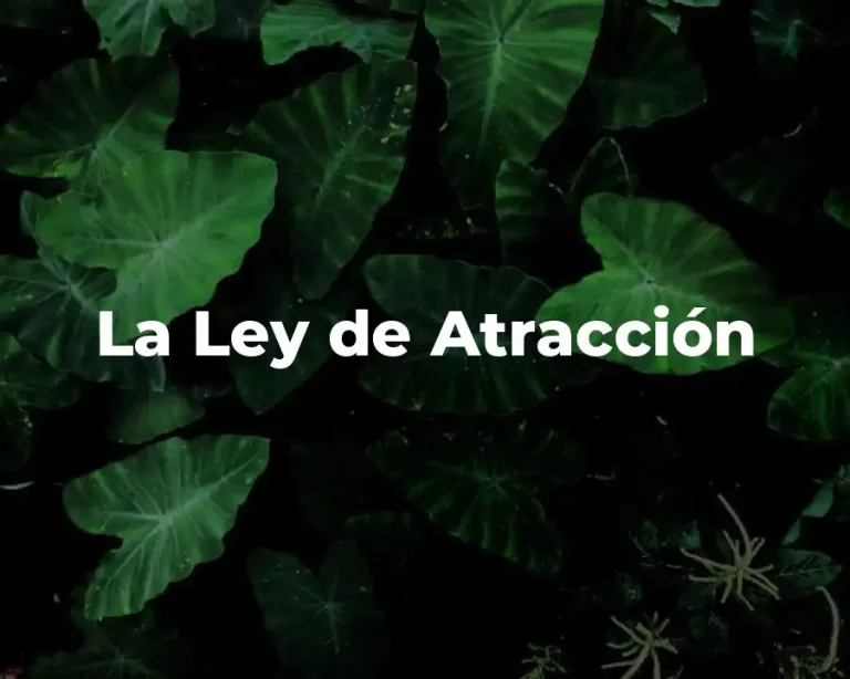 La Ley de Atracción