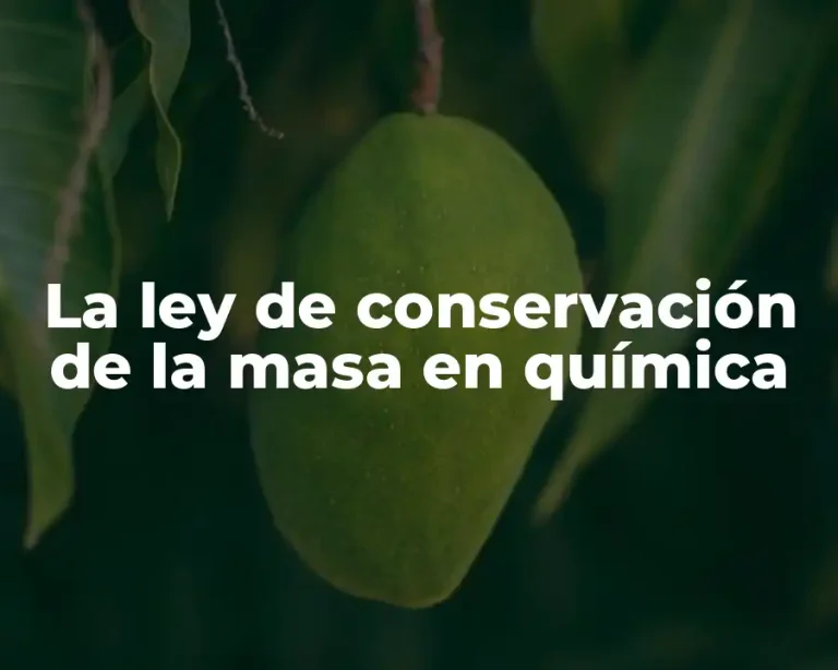 La ley de conservación de la masa en química