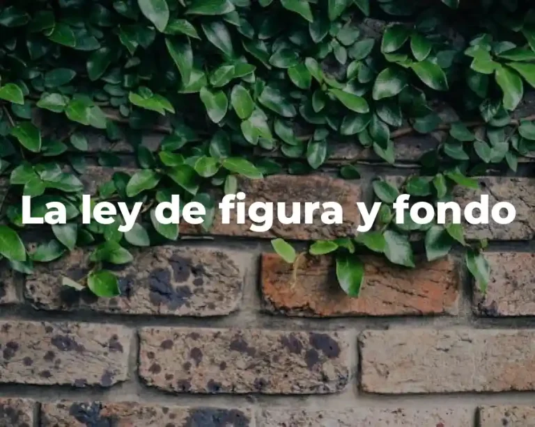 La ley de figura y fondo
