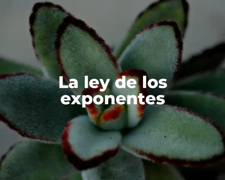 La ley de los exponentes
