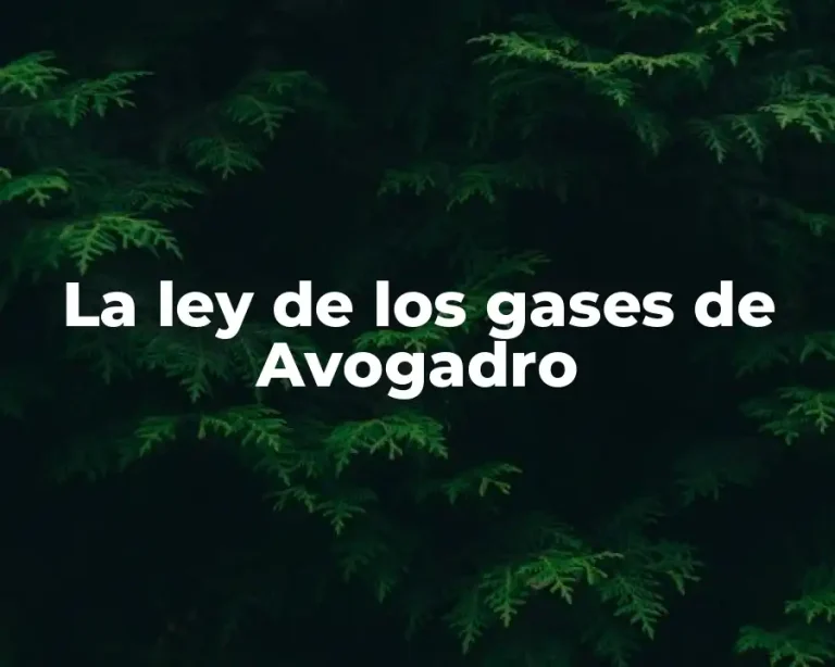 La ley de los gases de Avogadro