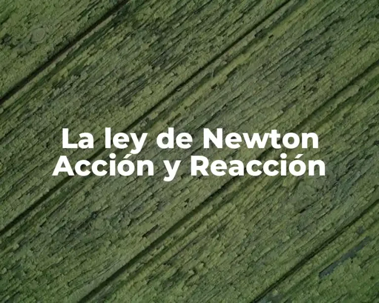 La ley de Newton Acción y Reacción