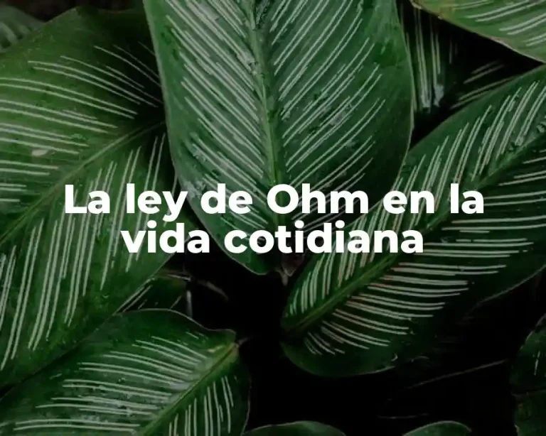 La ley de Ohm en la vida cotidiana