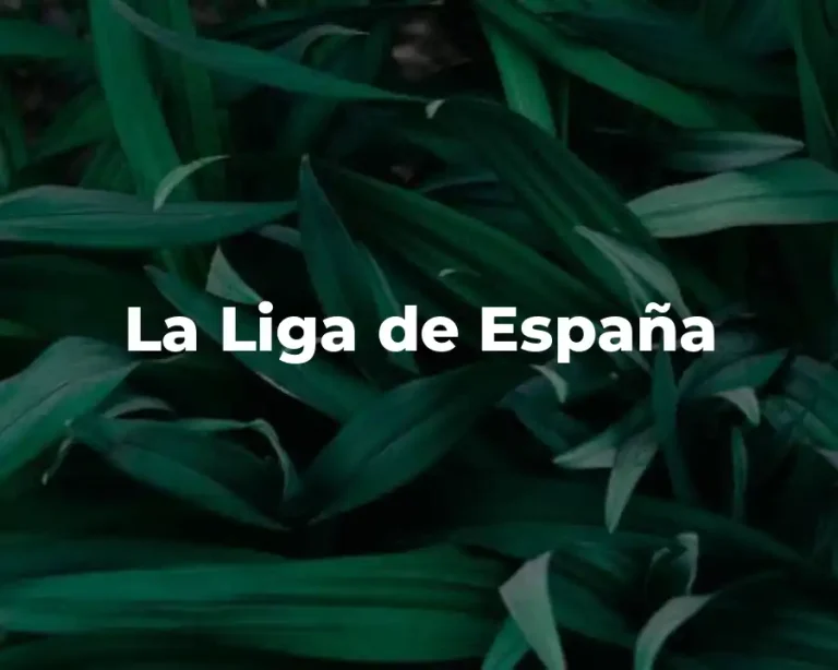 La Liga de España