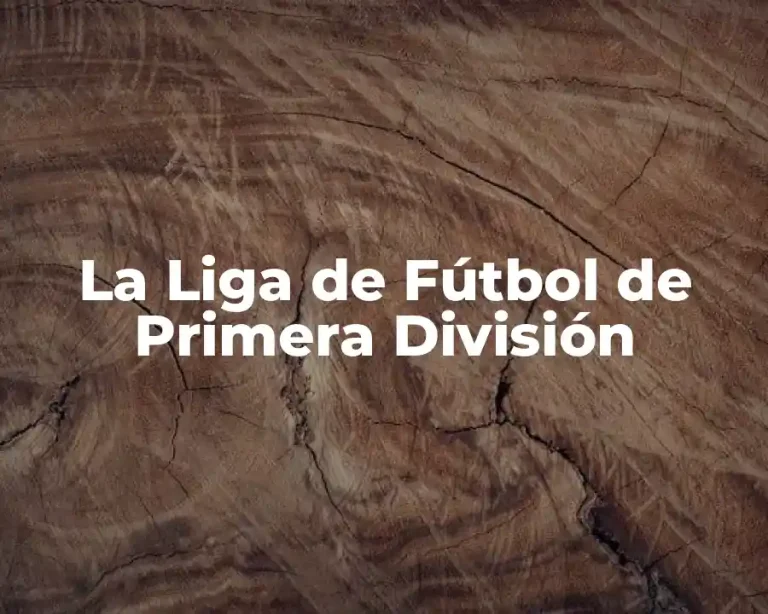 La Liga de Fútbol de Primera División