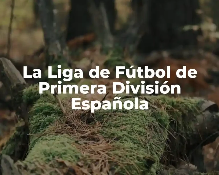 La Liga de Fútbol de Primera División Española