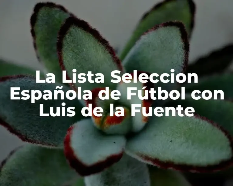La Lista Seleccion Española de Fútbol con Luis de la Fuente