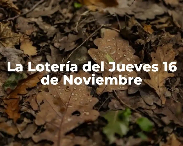 La Lotería del Jueves 16 de Noviembre